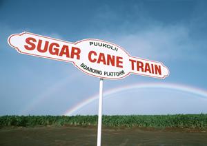 車検格安で探している方は必見！