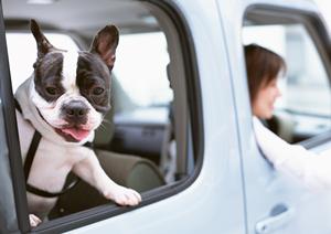 コバックの車検の特徴やメリットとは