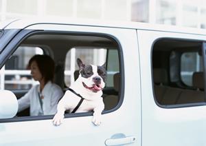 匂いを徹底的に除去する室内クリーニング