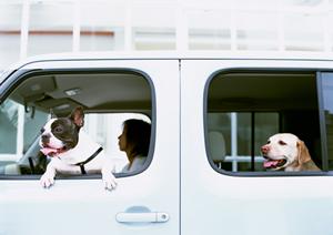 【2026年最新版】一宮市で新車購入を検討している方必見！成功するための完全ガイド