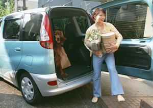 愛知で新古車を購入するならミニック