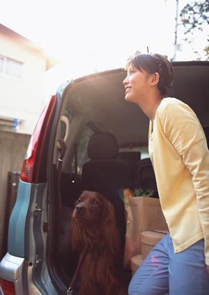 石狩市で車検をお考えの方にお勧め